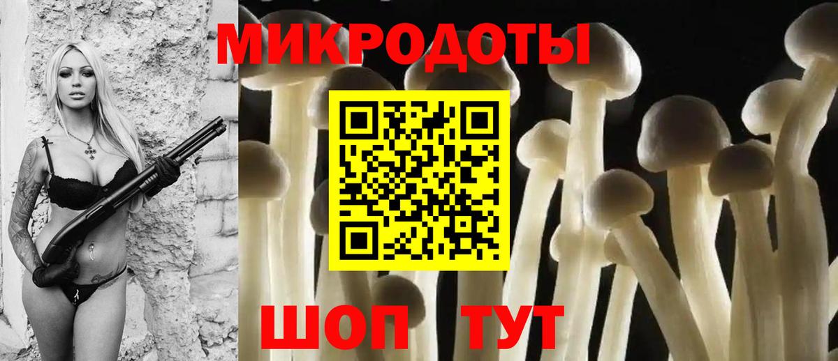 Галлюциногенные грибы мухоморы  Тайшет  продажа наркотиков  Галлюциногенные грибы мухоморы 
