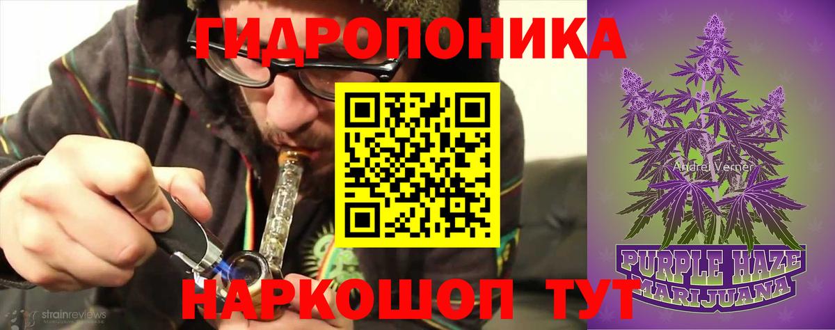 Бошки Шишки конопля  Каннабис Ganja  Тайшет  Шишки марихуана планчик  Конопля Ganja 